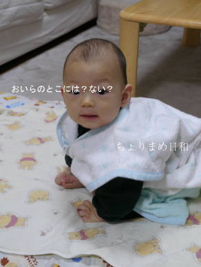 ちょりまめ日和