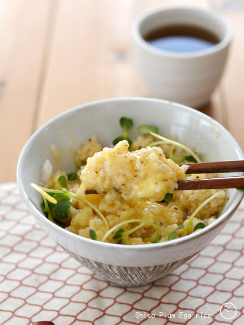 卵かけしそ梅ごはん_スパイス1904-3