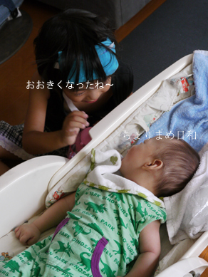 ちょりまめ日和