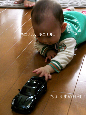 ちょりまめ日和