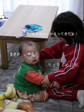 ちょりまめ日和