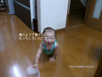 ちょりまめ日和