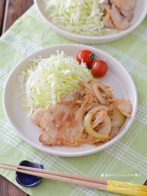 豚肉のクミンしょうが焼き_スパイス2005-2