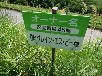 佐渡田植え20180519-8