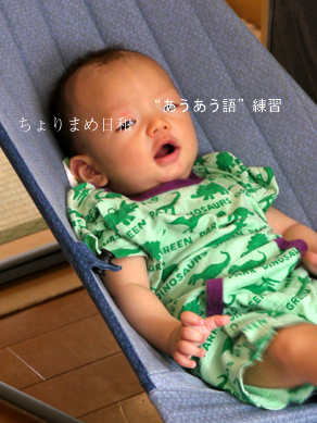 ちょりまめ日和