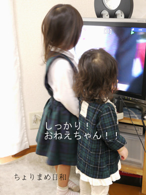 ちょりまめ日和