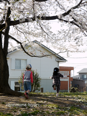 ちょりまめ日和