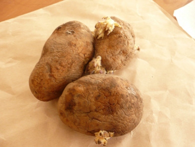 まあしぃちゃんパン４