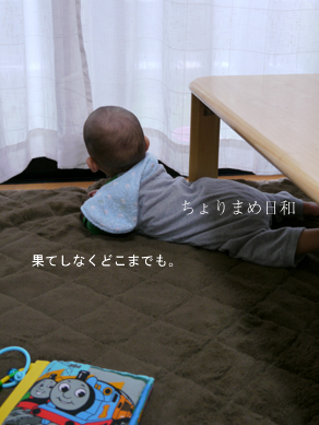 ちょりまめ日和