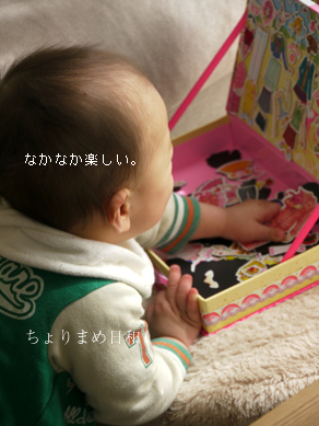 ちょりまめ日和