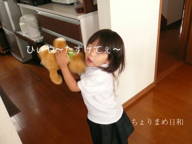いぬ0612