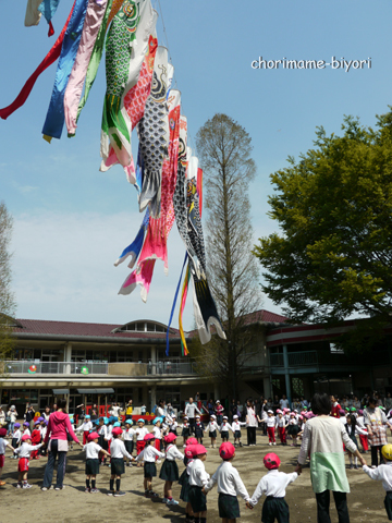 ちょりまめ日和