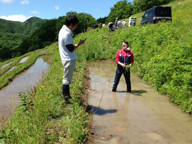 佐渡田植え20180519-7