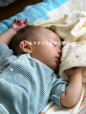 ちょりまめ日和