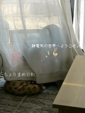 ちょりまめ日和