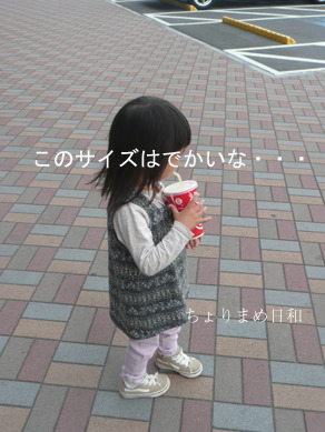 ちょりまめ日和