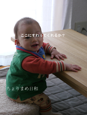 ちょりまめ日和