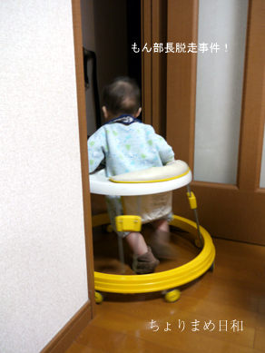 ちょりまめ日和