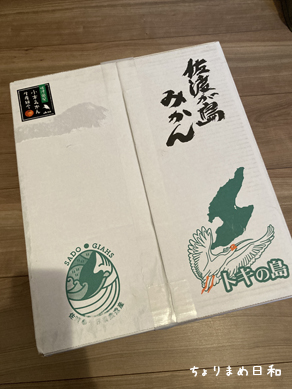 佐渡みかん201215