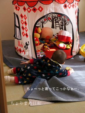 ちょりまめ日和