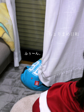 ちょりまめ日和