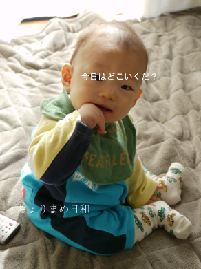 ちょりまめ日和