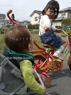 ちょりまめ日和