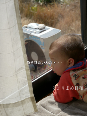 ちょりまめ日和