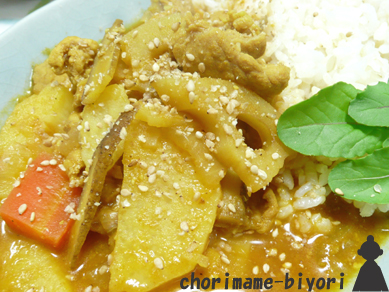 こっくり味の和風カレー