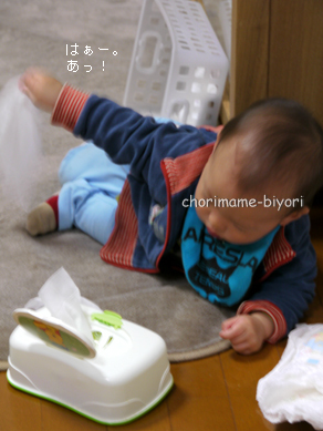ちょりまめ日和