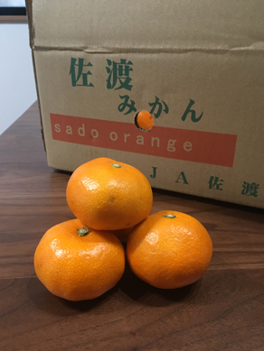 佐渡みかん181225
