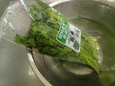 春菊のシーザーサラダ 温玉のせP