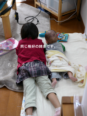 ちょりまめ日和