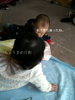 ちょりまめ日和