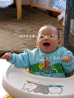 ちょりまめ日和