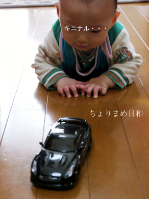 ちょりまめ日和