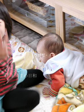 ちょりまめ日和