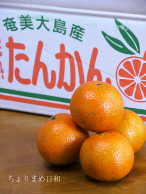 ちょりまめ日和