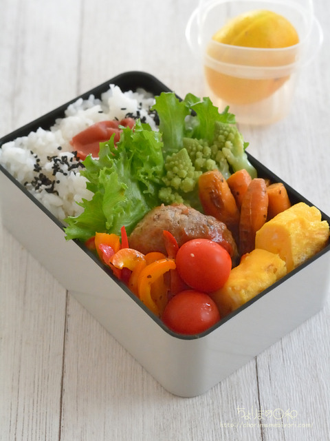 お弁当231011_ハンバーグ