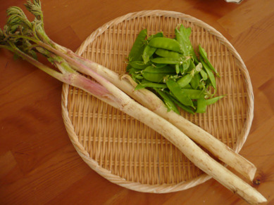 うど＆きぬさや