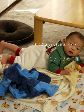 ちょりまめ日和