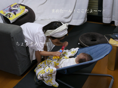 ちょりまめ日和