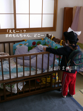 ちょりまめ日和