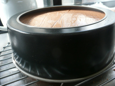 ちょりまめ日和