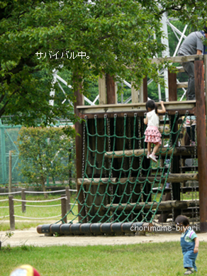 ちょりまめ日和