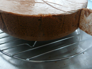 ちょりまめ日和