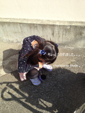 ちょりママオフィシャルブログ「ちょりまめ日和」Powered by Ameba