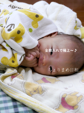 ちょりまめ日和