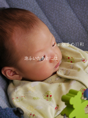 ちょりまめ日和