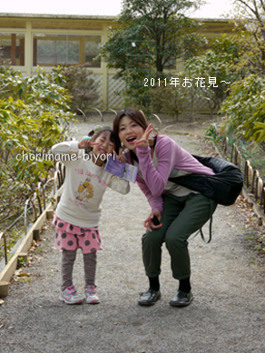 ちょりまめ日和